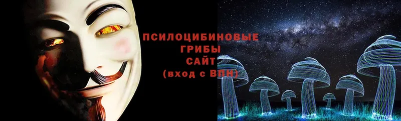 Галлюциногенные грибы Psilocybe  купить   Нерчинск 